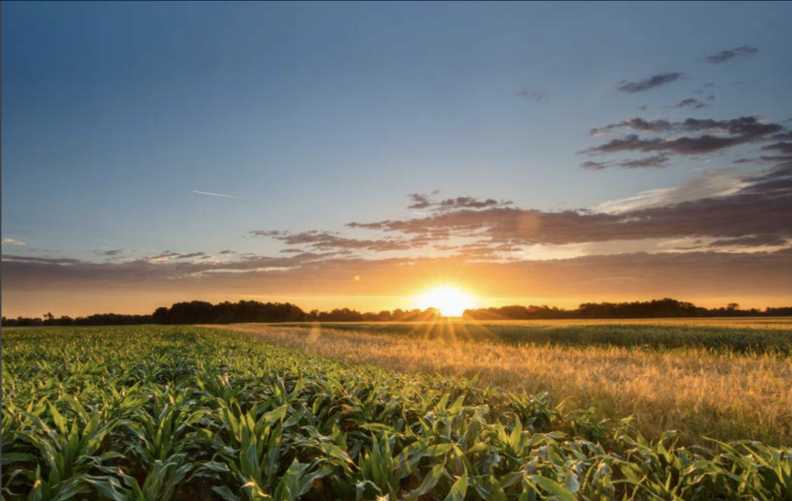 AgCarolina Farm & Country Summer Issue July 2023