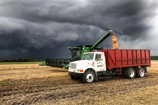 Farming with a dark, cloudy sky